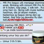 Mr Pro Dahsyat, Penggemuk Badan, Anak Menjadi Lahap, Nafsu Makan Bertambah